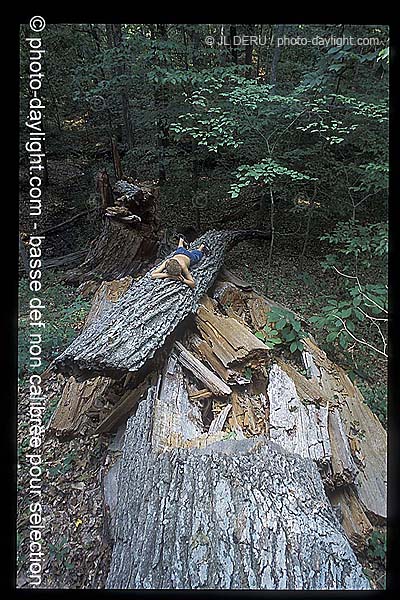 garon sur un tronc d'arbre - boy on a tree trunk